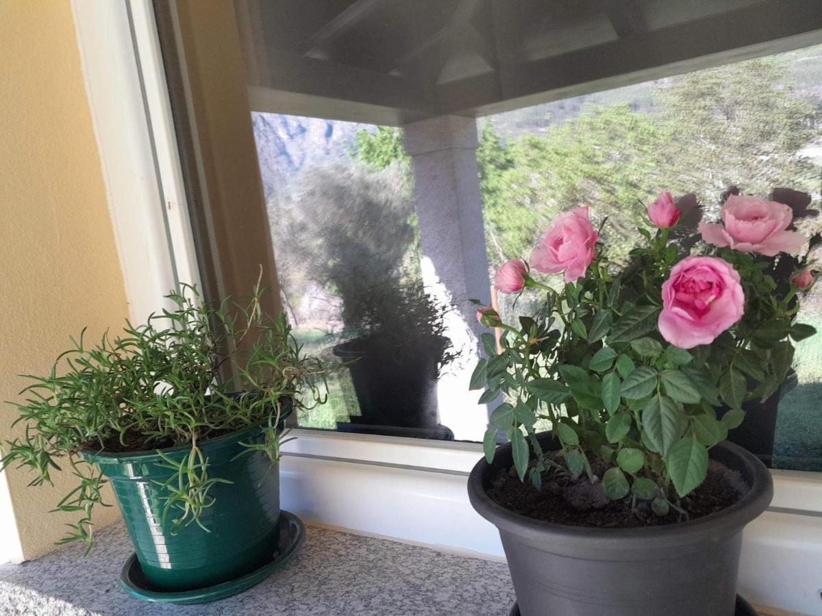 Chalet Cabrilhome - Al Geres Cabril (Villa Real)
